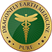 Dragonfly Earth Medicine icon